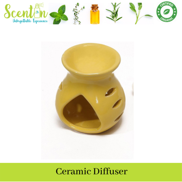 scentin ceramic diffusers